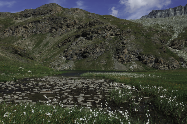 Lac de Tsoifeiret, Valais, Suisse