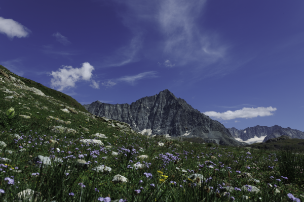 Pointe d'Otemma, Valais, Suisse